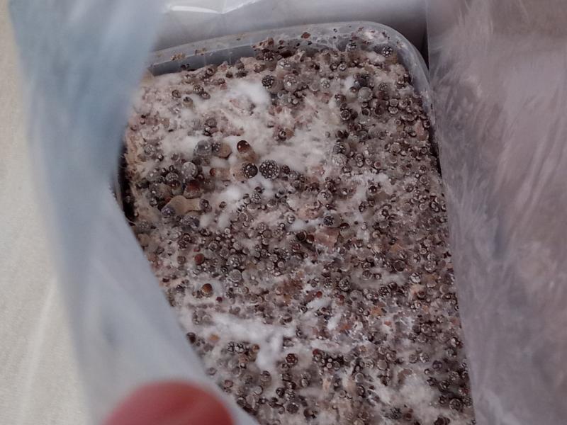 Vue de dessus sans flash