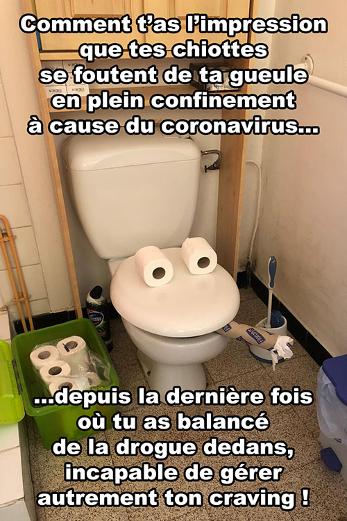 /forum/uploads/images/1585/coronawc.jpg