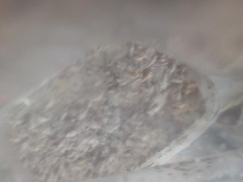 /forum/uploads/images/1585/kit31.jpg