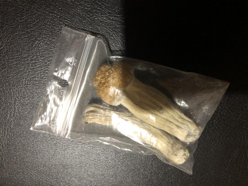 Les champignons en question