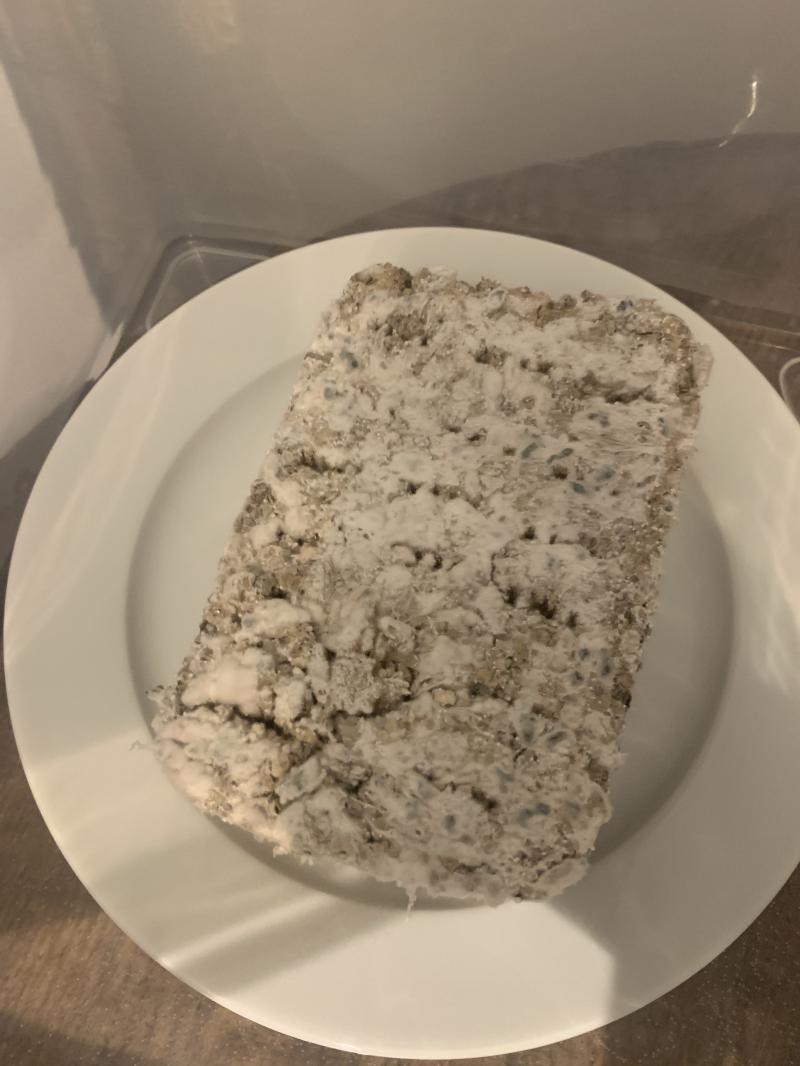 Les fameuses tâches :