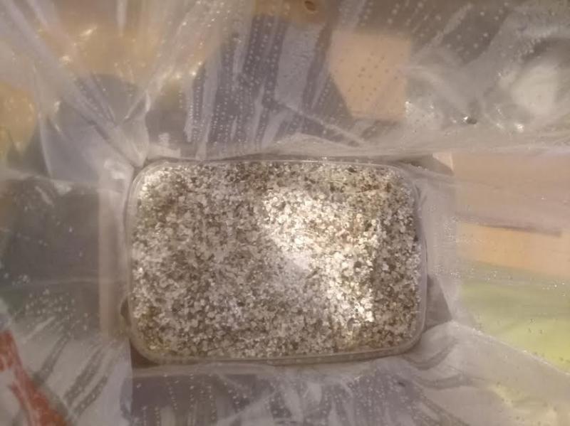 Ma box Cambodian Ma box Cambodian