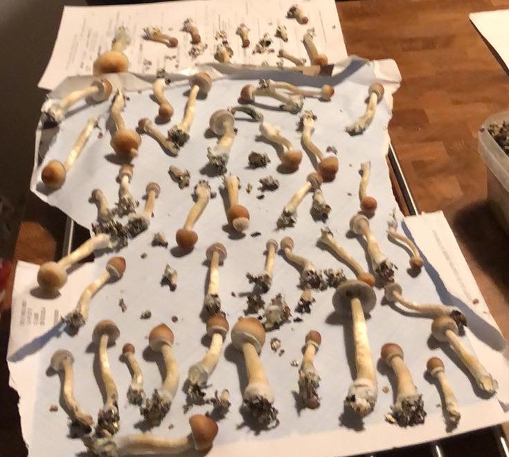 Récolte 1,2 Récolte 1,2