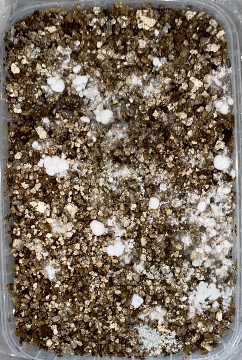 Photo prise à 16h50 aujourd’hui Photo prise à 16h50 aujourd’hui