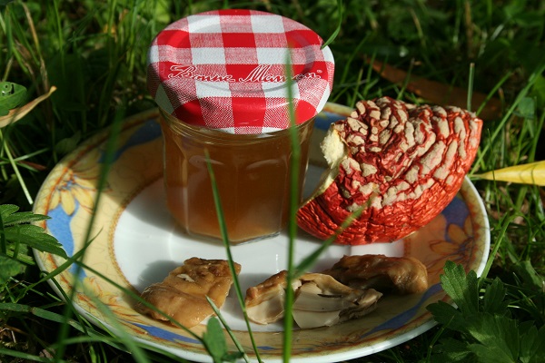 /forum/uploads/images/1589/amanita1.jpg