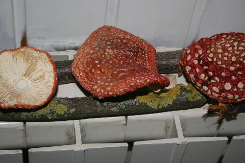 séchage au radiateur très chaud