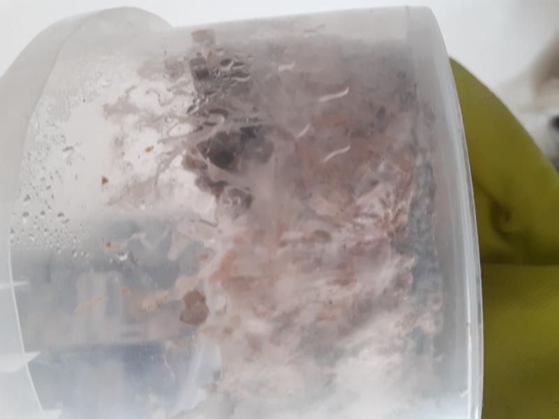 Boite 2 ( contam verte )