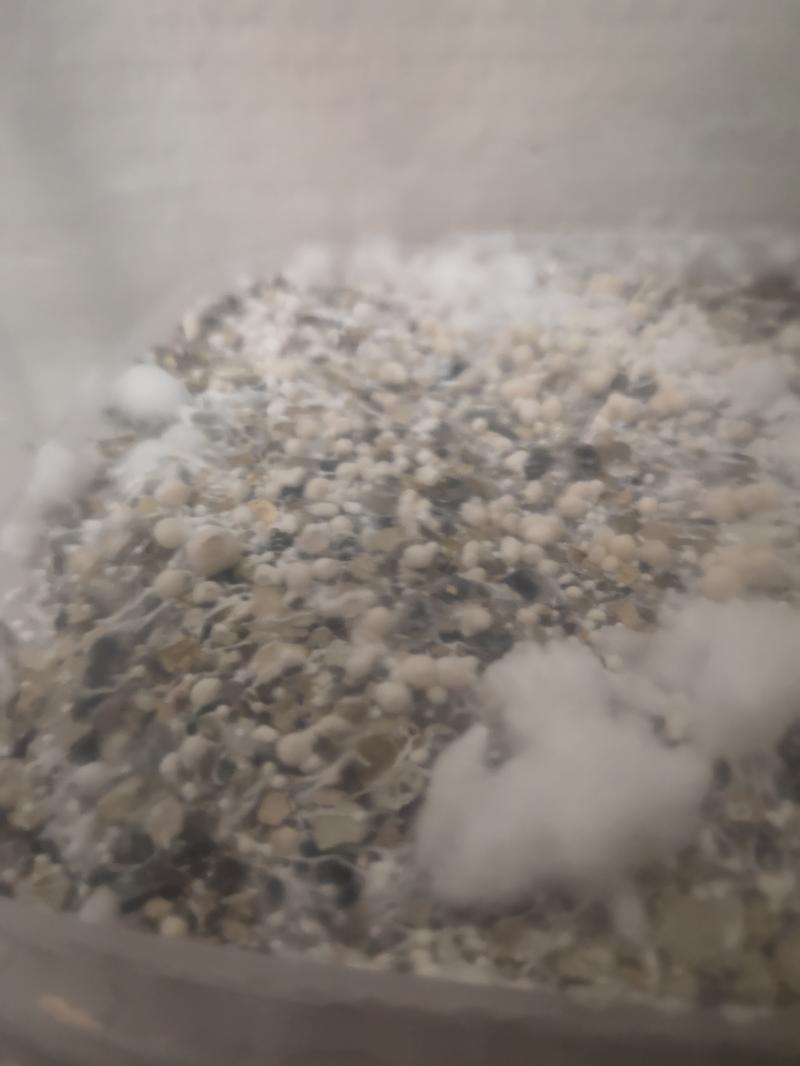 Petite boule dur en question