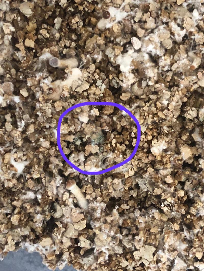 Tache sur le kit mac Kennai Tache sur le kit mac Kennai