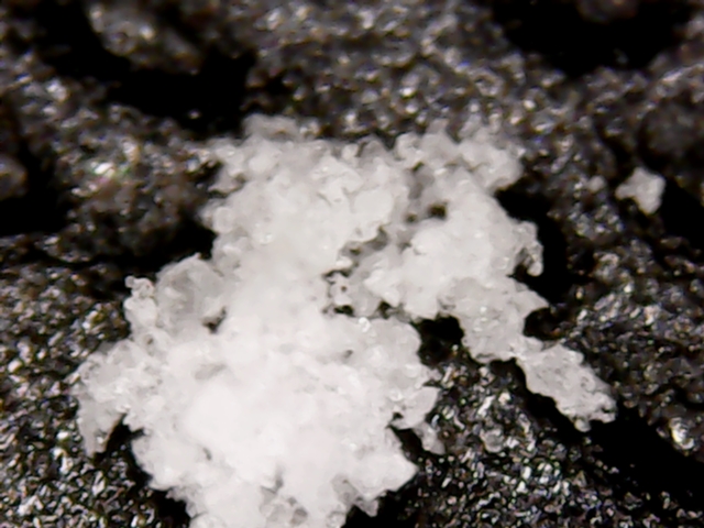 farine 1 (dsl pr la qualité again)