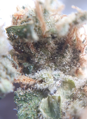 Inside ext (désolé pr l qualité