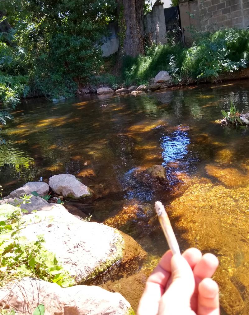 Le bedo près de la rivière