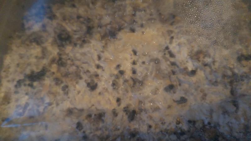 3eme flush pousse pas
