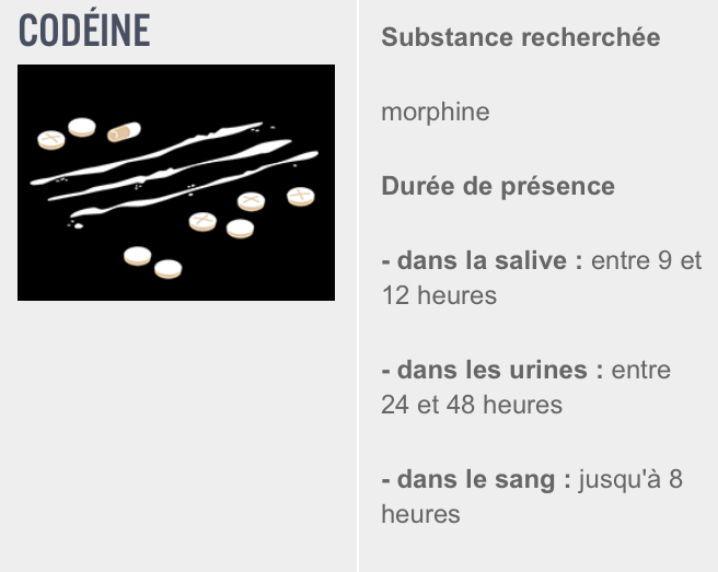 Durée de positivité de la codéine dans les urines Durée de positivité de la codéine dans les urines
