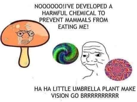 /forum/uploads/images/1599/fb_img_1599647106143.jpg