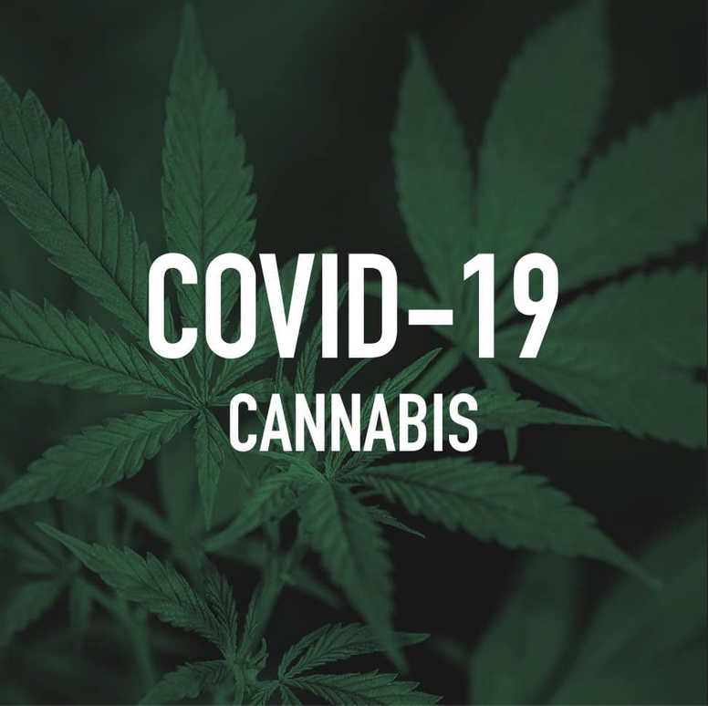 /forum/uploads/images/1601/covi-cannabis.png
