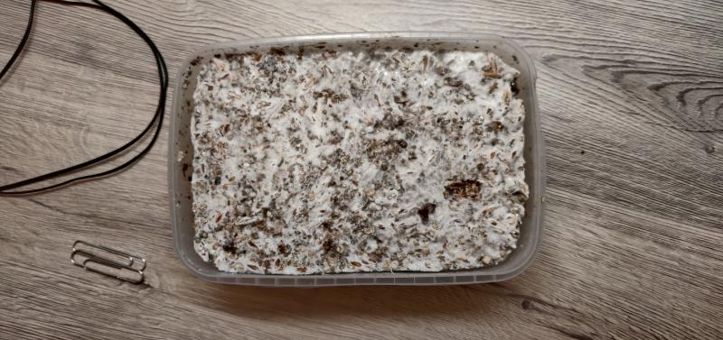 réception 19 Octobre