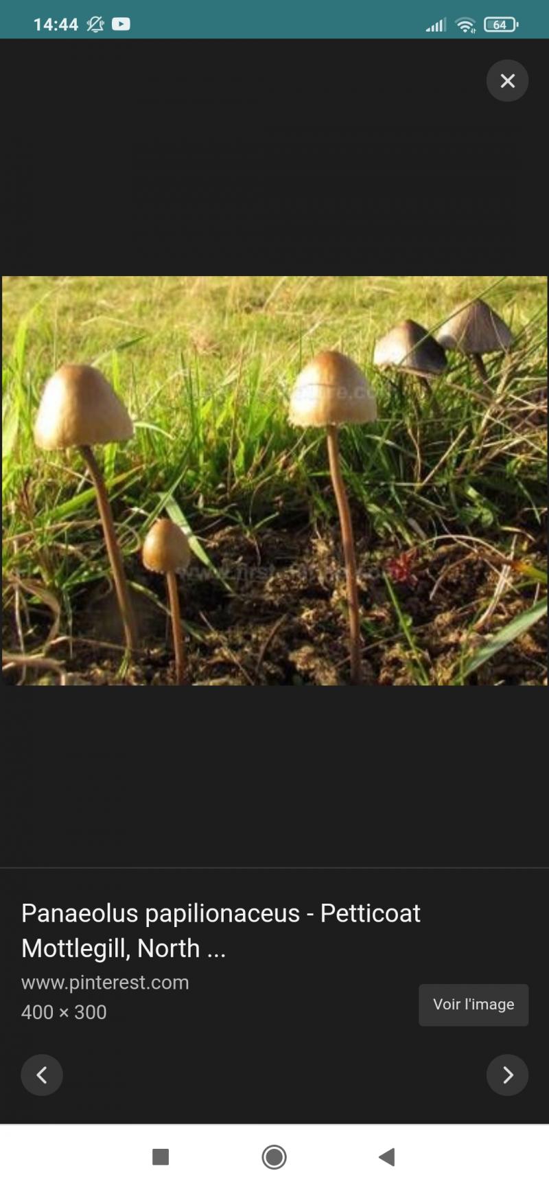 /forum/uploads/images/1605/screenshot_2020-11-13-14-44-22-885_comecosiaand.jpg