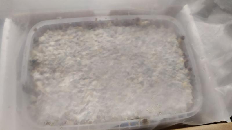 Growkit n°1