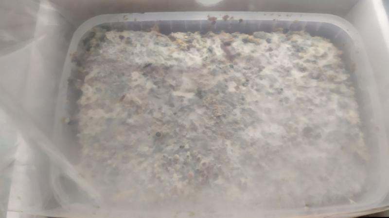 Growkit n°2