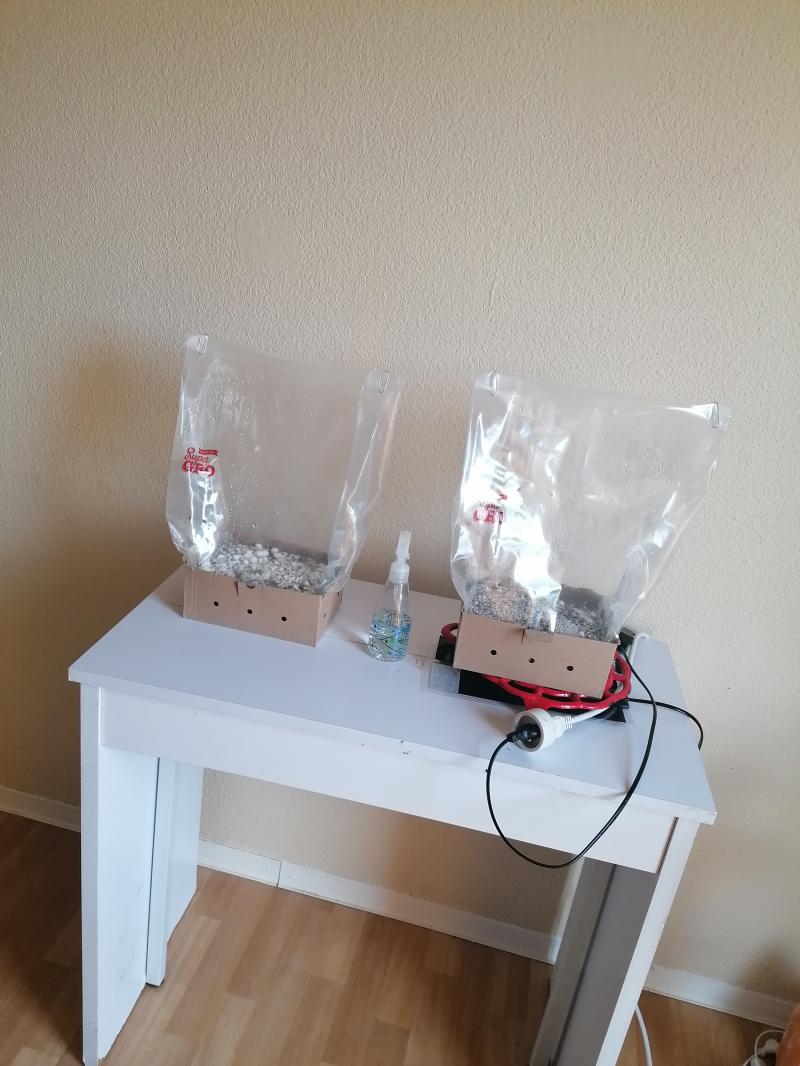 mon instalation, y a t-il trop de lumière?