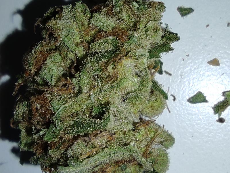 Voici la weed en question