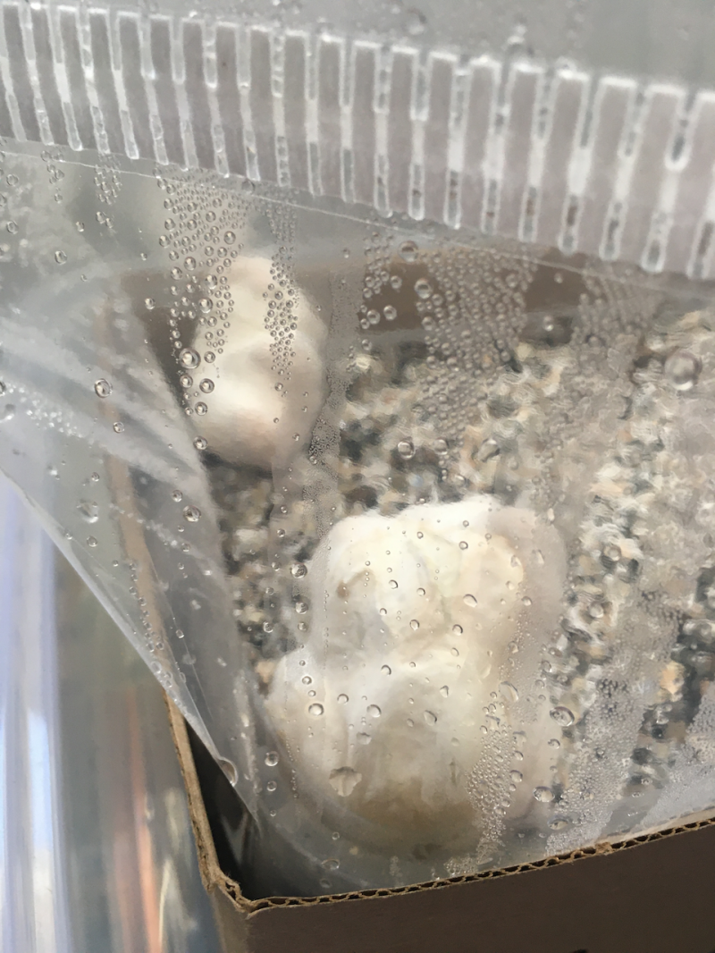 Jour 18 : Meringue blob boule j ai les boules Jour 18 : Meringue blob boule j ai les boules