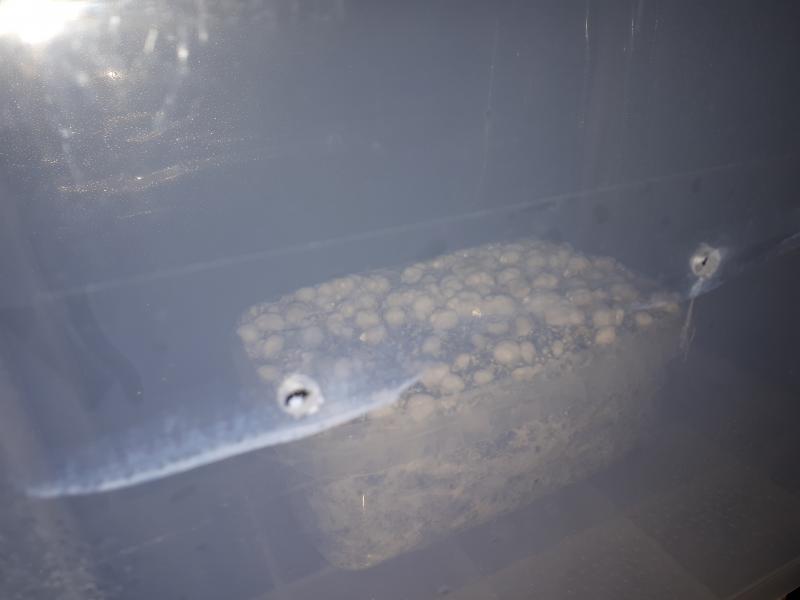 C est moche mais y a de la buée quoi