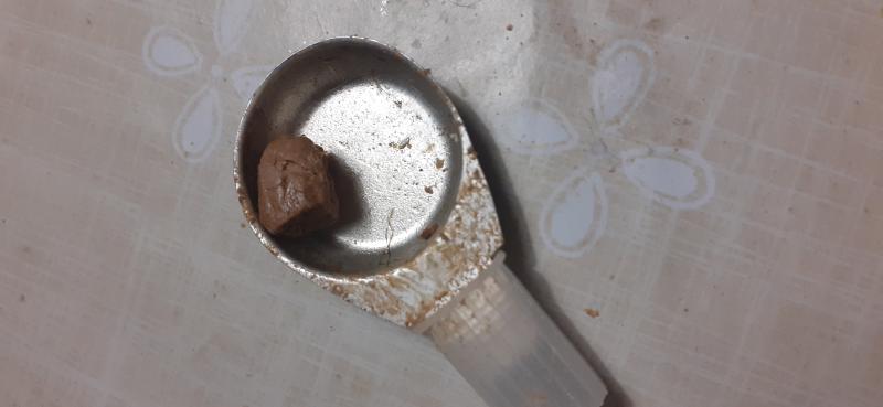 Florence Italie 20€