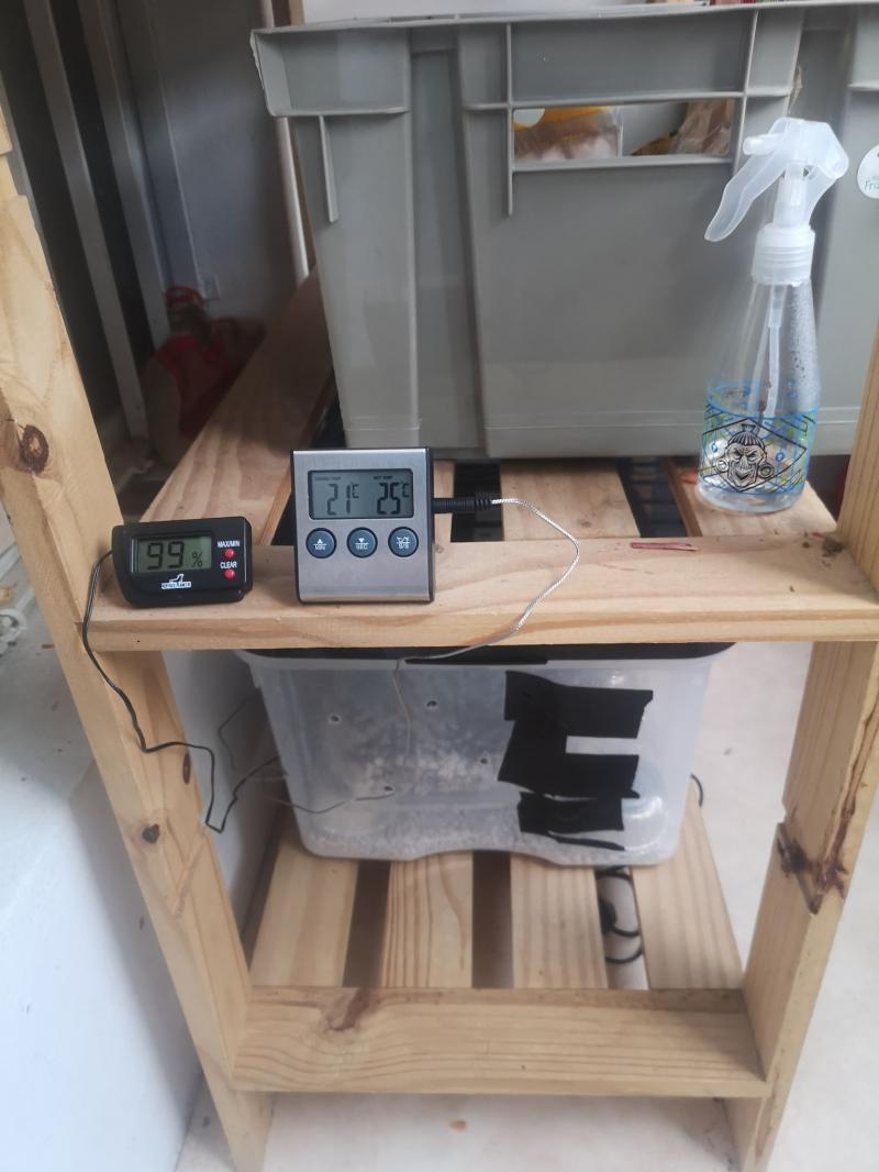 thermo+hygro valeurs thermo+hygro valeurs