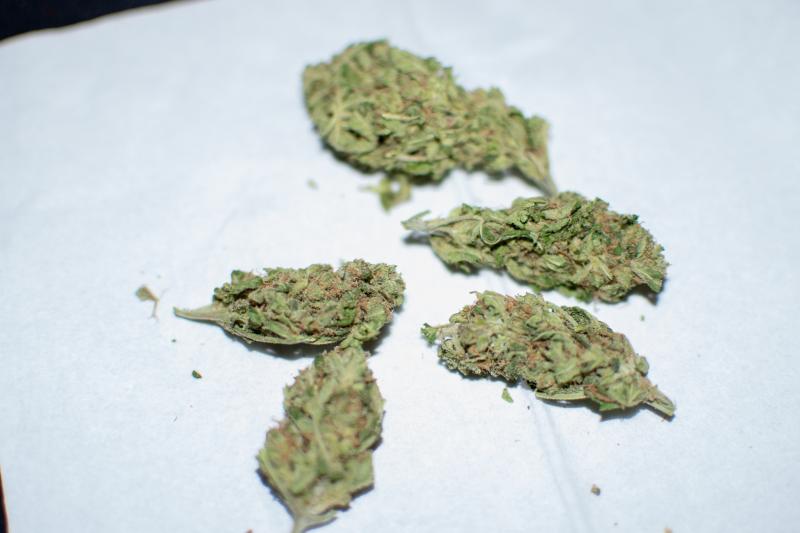 chocolope chocolope