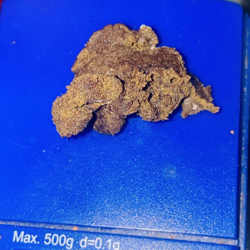 Filtré avant le curring