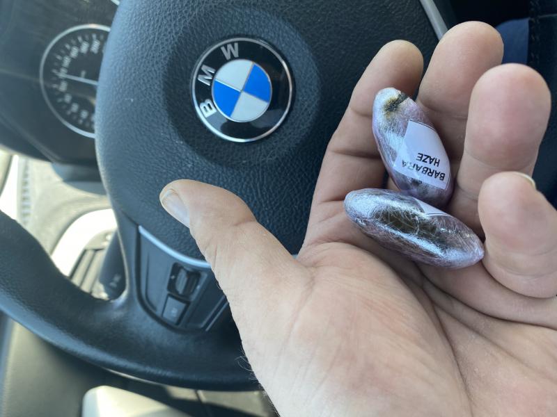 Olives Barbara haze filtré x3