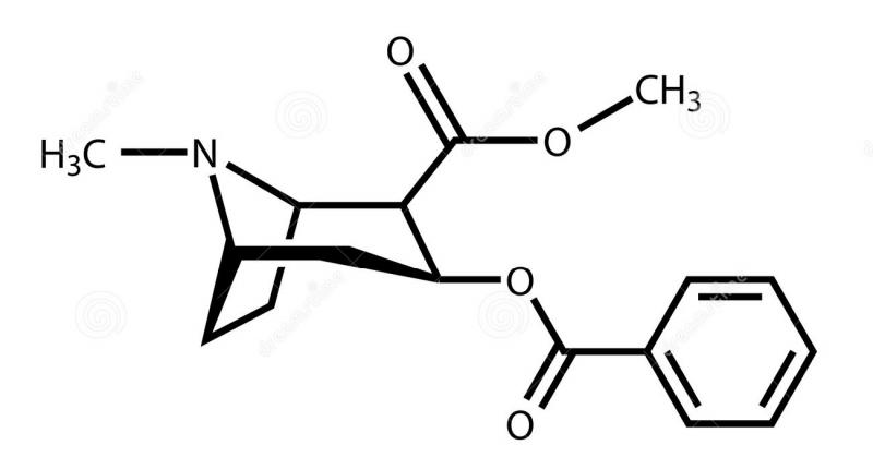 /forum/uploads/images/1627/structural-formula-cocaine-224778971.jpg
