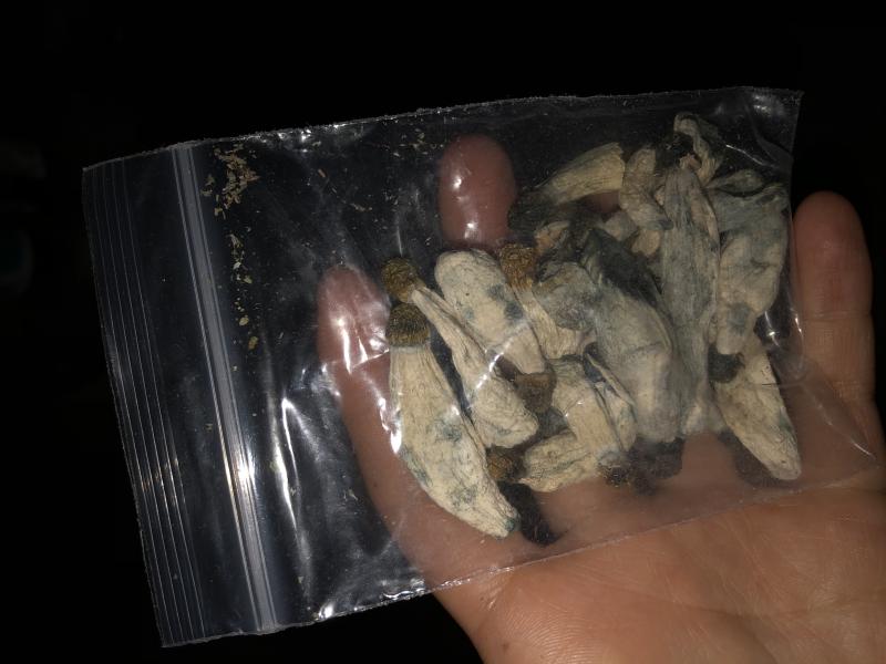 Champignons