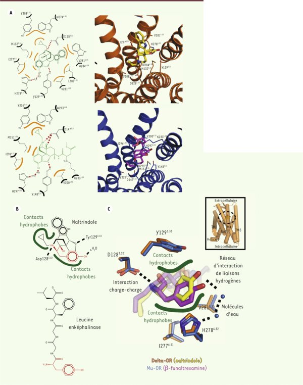 /forum/uploads/images/1645/medsci20122810p870-fig2.jpg