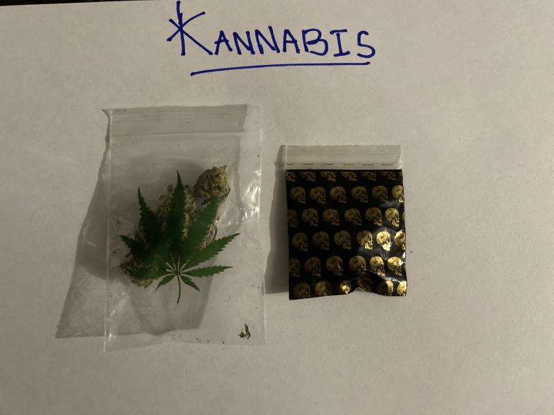 Verte + Marron Verte + Marron