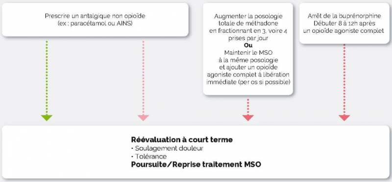 /forum/uploads/images/1649/douleur2.png