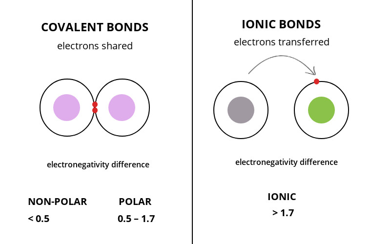 /forum/uploads/images/1653/difference-between-covalent-and-ionic-bonds.jpg