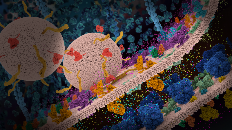 /forum/uploads/images/1655/synapse.png