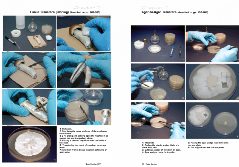 /forum/uploads/images/1659/transfert.png