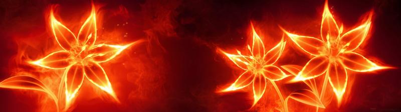 /forum/uploads/images/1662/fleur-feu1.jpg