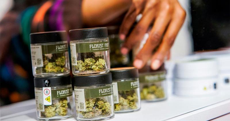 /forum/uploads/images/1677/new-york-licences-cannabis.jpg