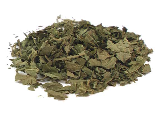 /forum/uploads/images/1678/salvia.png