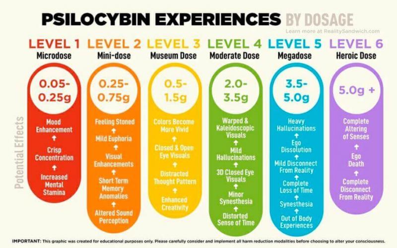 Dosage psylocybine Dosage psylocybine