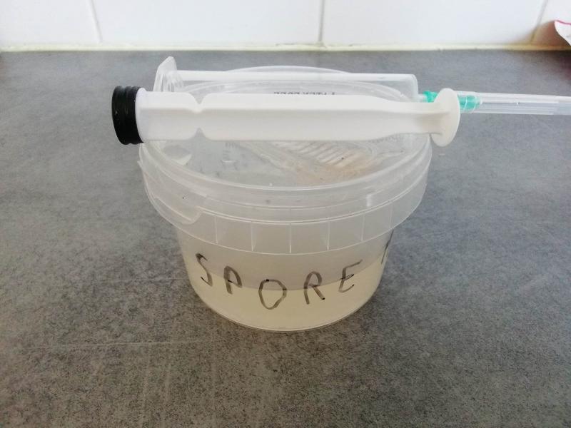 /forum/uploads/images/1683/culture-liquide.jpg