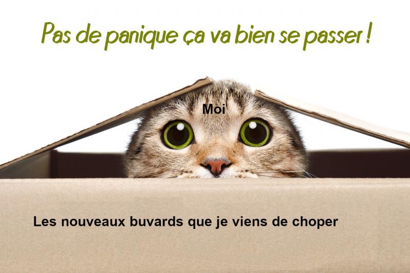 /forum/uploads/images/1693/carton-chat.jpg