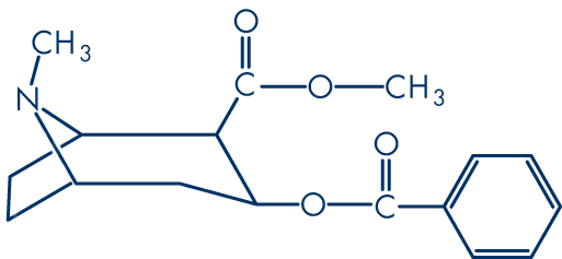 /forum/uploads/images/1694/cocaine-molecular-structure11.gif