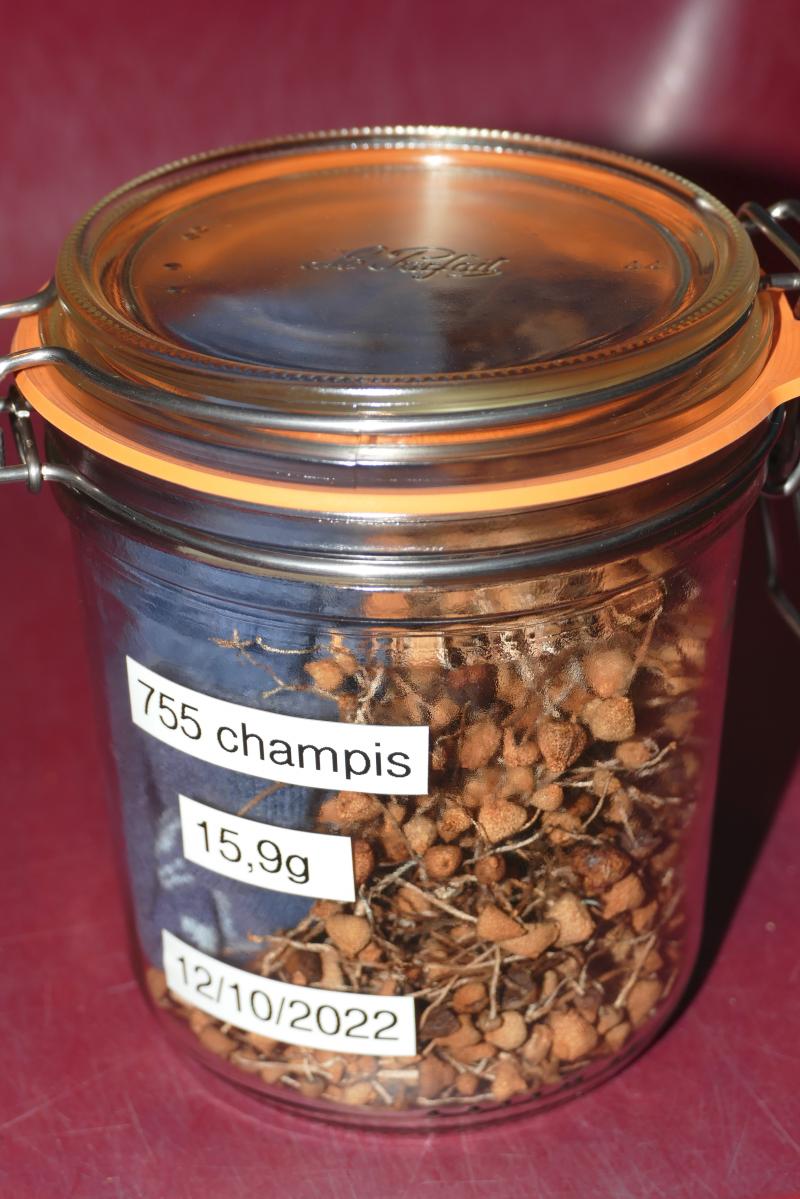 /forum/uploads/images/1696/755_champis-pot-ferme.jpg
