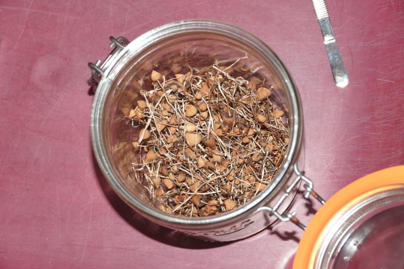 /forum/uploads/images/1696/755_champis-pot-ouvert.jpg